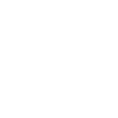 Bvl Logo